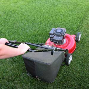 Mowing lawn